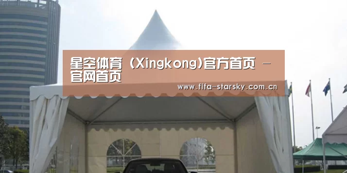 案例标题八