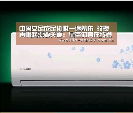 中国女足成足协唯一遮羞布 玫瑰再崛起需要关爱:星空体育在线登陆
