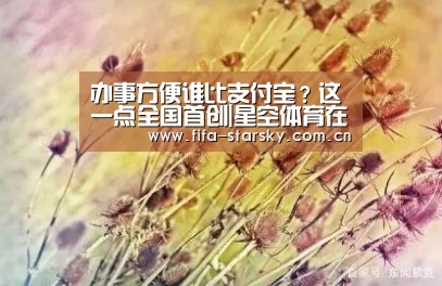 办事方便谁比支付宝?这一点全国首创|星空体育在线登陆