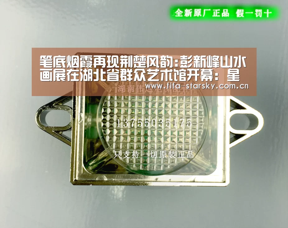 笔底烟霞再现荆楚风韵:彭新峰山水画展在湖北省群众艺术馆开幕:星空体育直播