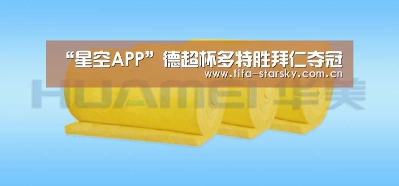 “星空APP”德超杯多特胜拜仁夺冠
