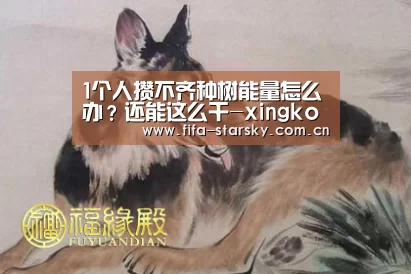 1个人攒不齐种树能量怎么办？还能这么干-xingkongsports