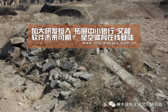加大研发投入 拓展中小银行 艾融软件未来可期?_星空体育在线登陆(图2) 星空体育直播