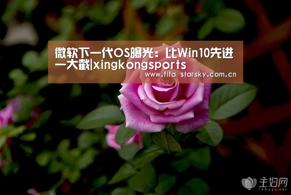 微软下一代OS曝光:比Win10先进一大截|xingkongsports(图3) 星空体育在线登陆